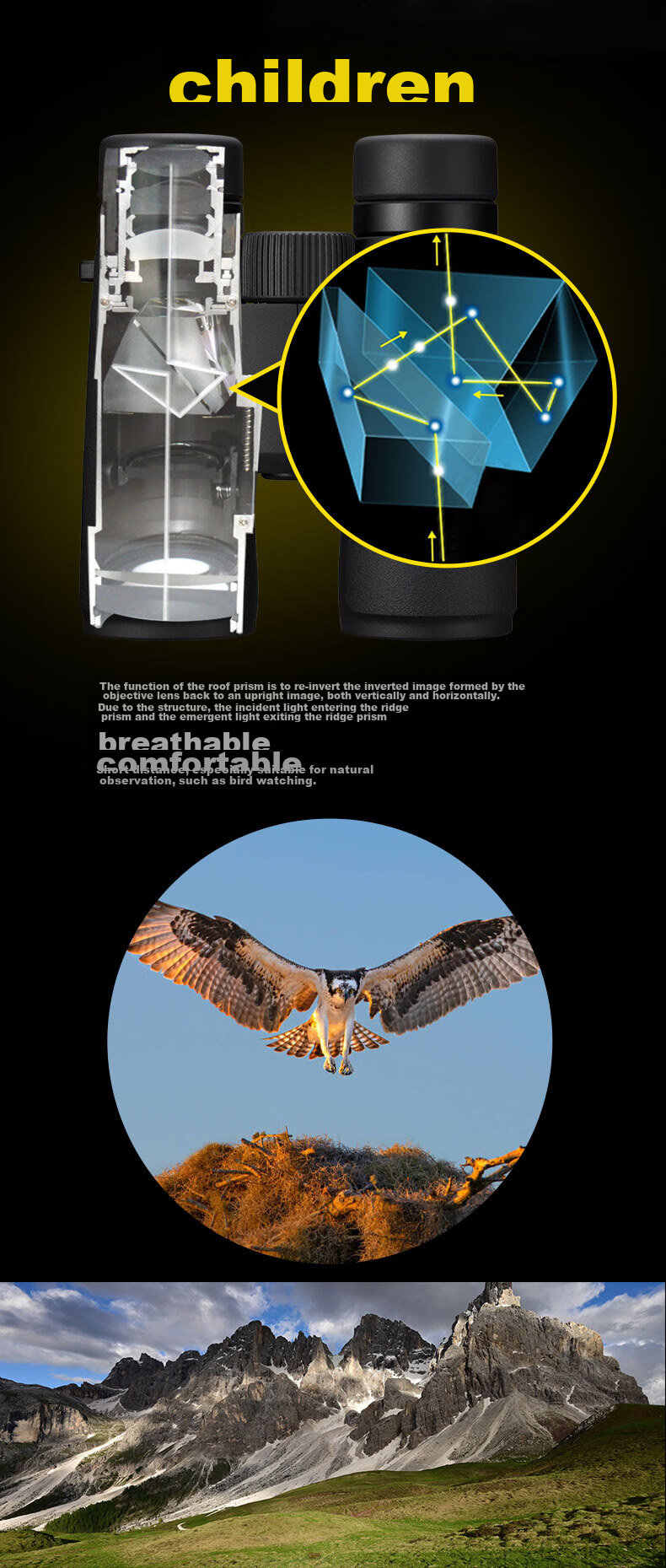 Nikon ED Monarch M7 8X42 Binoculars, Portable Outdoor Telescope for Phone Viewing And Concert Sightseeing 3