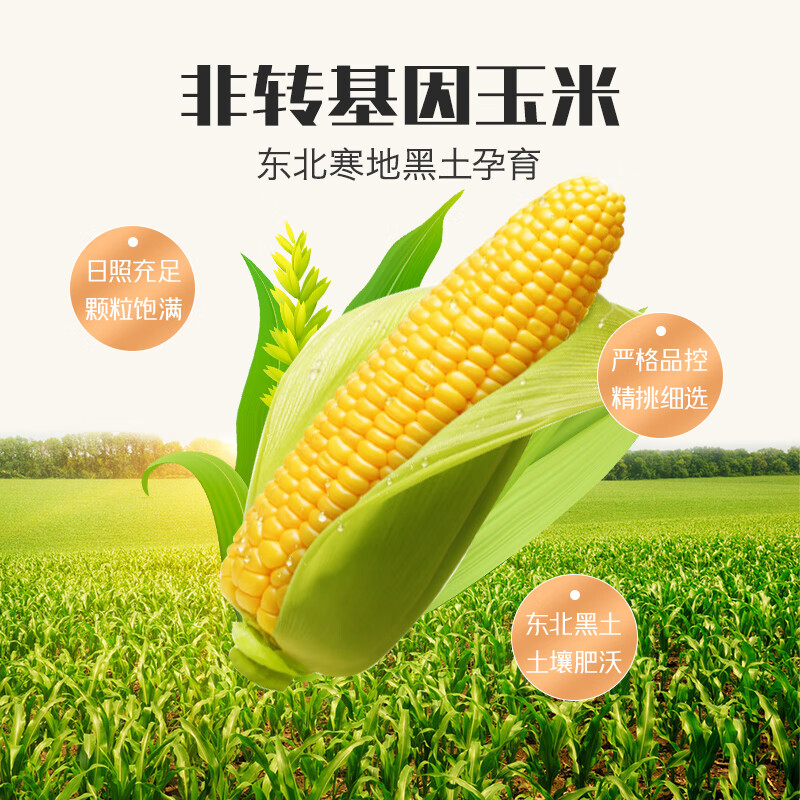 北大荒玉米糊原味375g（10小袋）玉米汁粉面粥羹粗粮营养早餐冲饮免煮