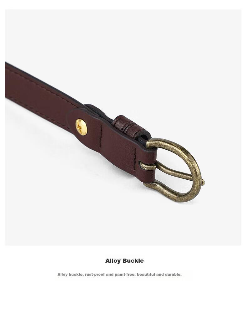 Viney Ladies' Belt, Fashionable Waistband, Decorative Thin Versatile Casual Student Pin Buckle Skirt Belt, Birthday Gift 15
