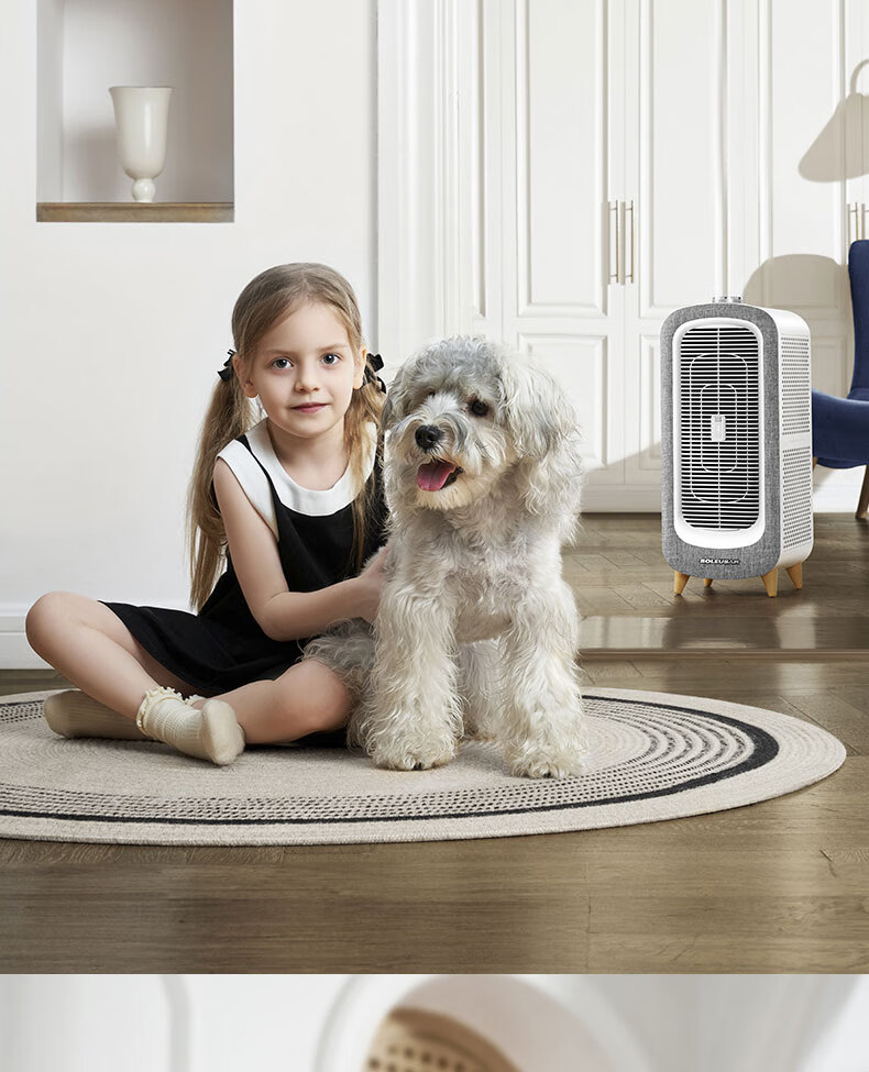 SOLEUSAIR Pet Air Purifier Filter RFC01-C for Cat And Dog Hair, Removes Allergens, Cat Hair Purifier, Disinfects And Eliminates Odors, Gift 11