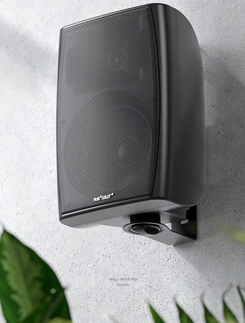 SAST 60W Wall-Mounted Speaker, Passive Wall-Mounted Speaker for Connecting Amplifier, Background Music, Public Address System, Restaurant And Conference Broadcasting, Constant Voltage DW60 Black 4