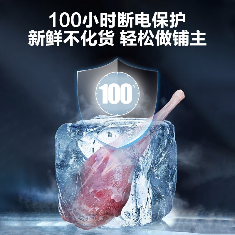 海尔商用冰柜两用冷藏冷冻柜双温双箱顶开门冷柜节能省电小冰柜海尔双温冰柜海尔双温冰柜家用大容量 灰色FCD-251LHKPT1