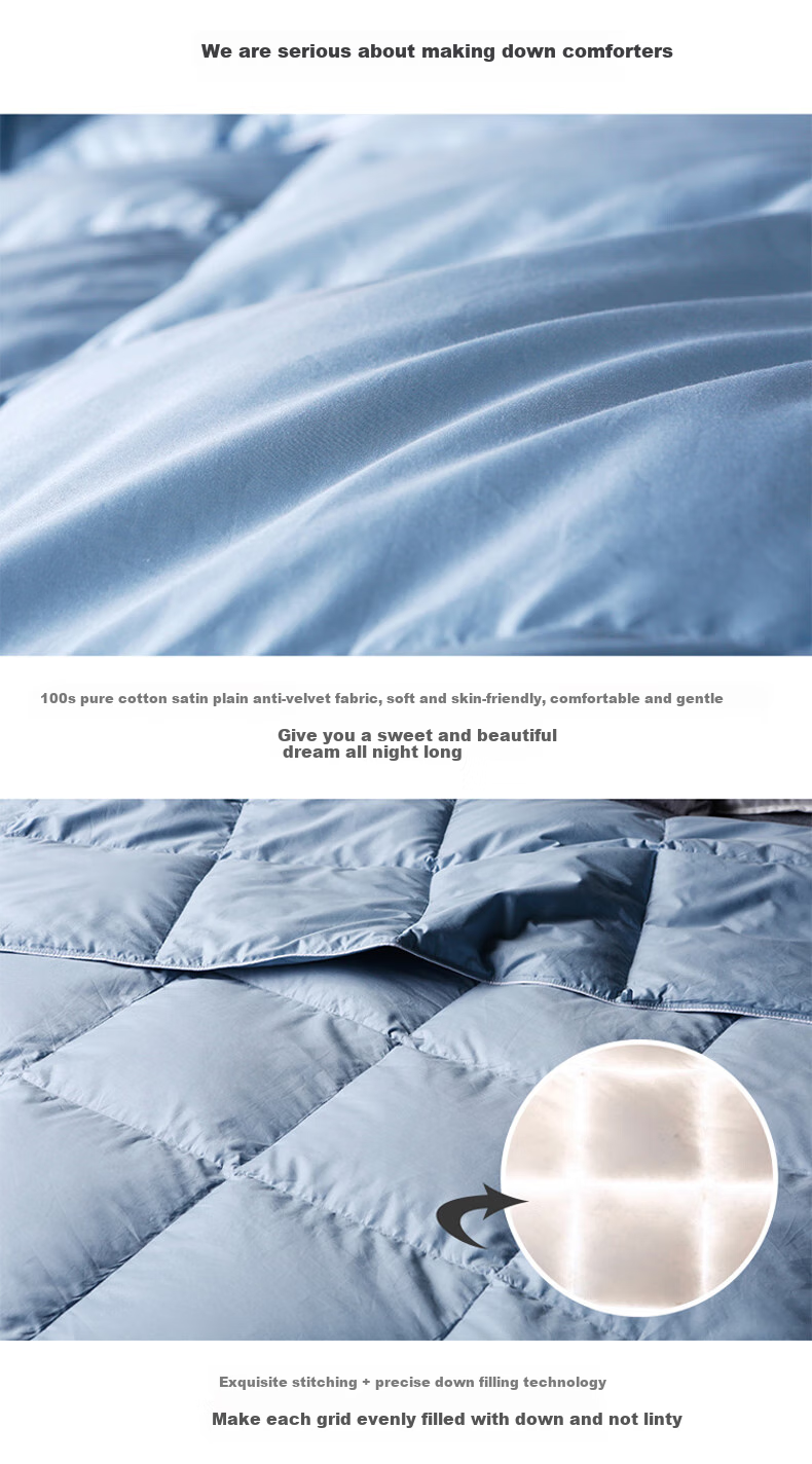 Sinuoman High-Quality 100% Imported 95% White Goose Down Duvet Insert, Comforter for Air Conditioning And Heating, 2.2*2.4m, 320g Filling, Gray 25