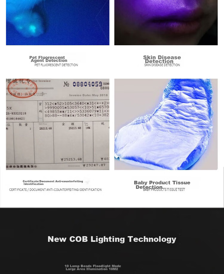 MOTIE UV Light for Alcohol And Tobacco Inspection, 365nm UV Flashlight for Vegetable Detection, Fluorescence Testing, Cat Ringworm, And Cat Urine Analysis 9