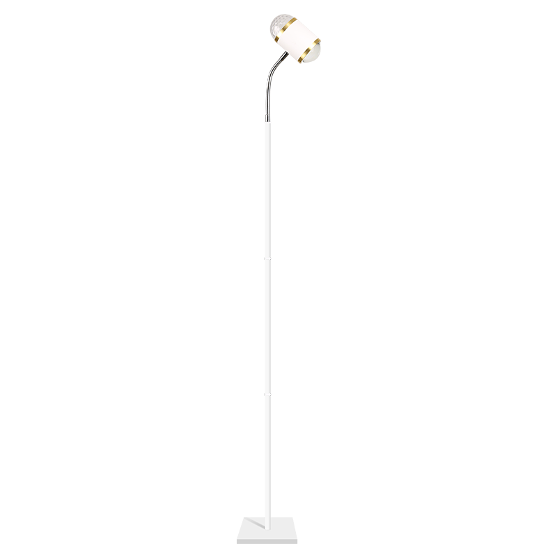 JIMANTU Live Atmosphere Light Water Ripple Background Projection Sunset Lamp Influencer High-End Room Live Sunset Floor Lamp Living Room Bedroom Mood Warm Light
