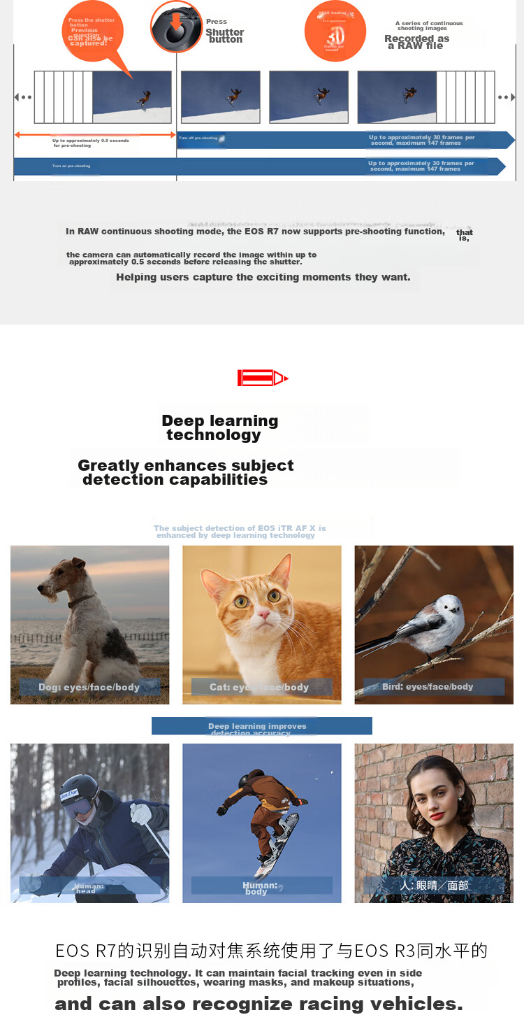 Canon [Official Flagship] R7 Mirrorless Camera for Portrait And Landscape Photography, High-Speed Continuous Shooting, 4K Vlog Live Streaming, Semi-Professional R7 Body 6