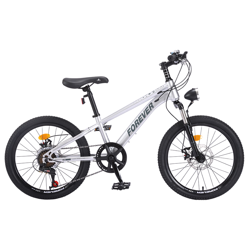 FOREVER Children's Bicycle, Boys And Girls Bike, Kids' Single-Speed Pedal Bike, 22-Inch, Silver Color