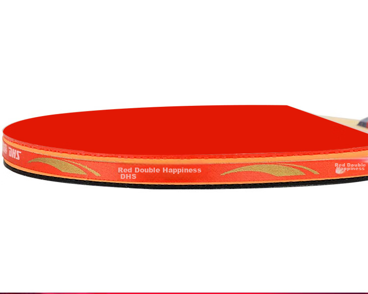 DHS Table Tennis Racket, Two-Star Straight Handle, Single Racket F2006, Includes Racket Case + Ping Pong Ball 8
