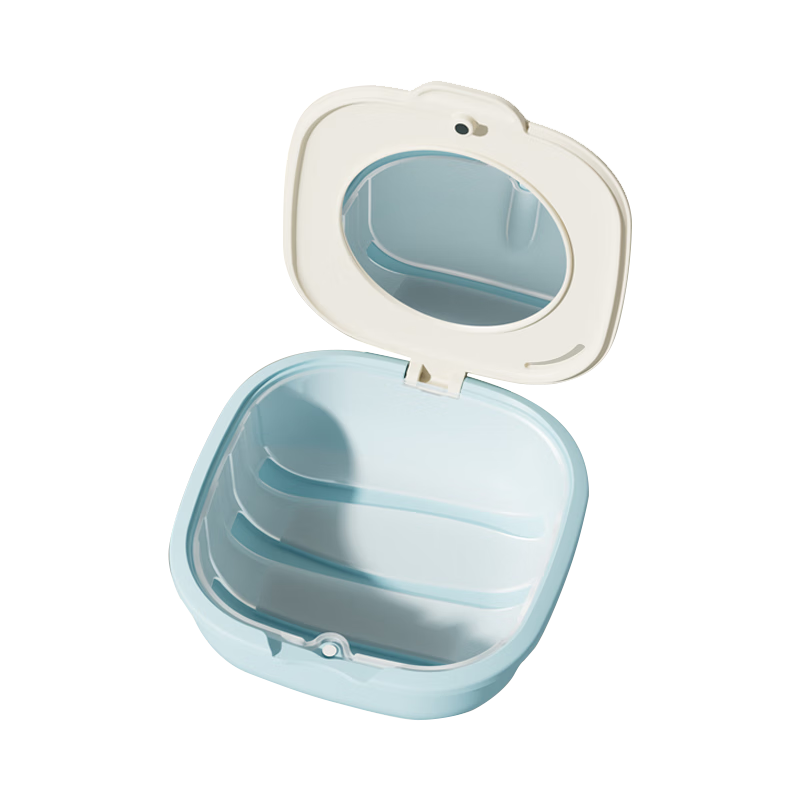 Daisy Leaf Invisible Aligner Case, Retainer Storage Box, Orthodontic Teeth Corrector Case, Portable Magnetic Versio