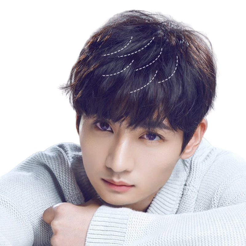 Baisitang Men's Wig Natural Full Head Cover Real Human Hair Wig 100% Real Hair Wig for Men with Slight Parting And Bangs