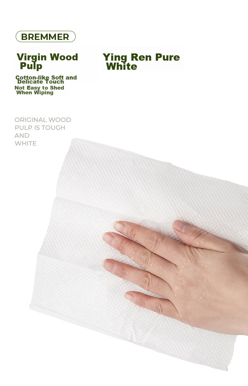BREMMER Facial Tissues, 1-Ply, 160 Sheets*10 Packs, Large Size, Commercial Use, Hand Towels for Kitchen, Hotel, Bathroom, Dry Hand Paper, Whole Box 3