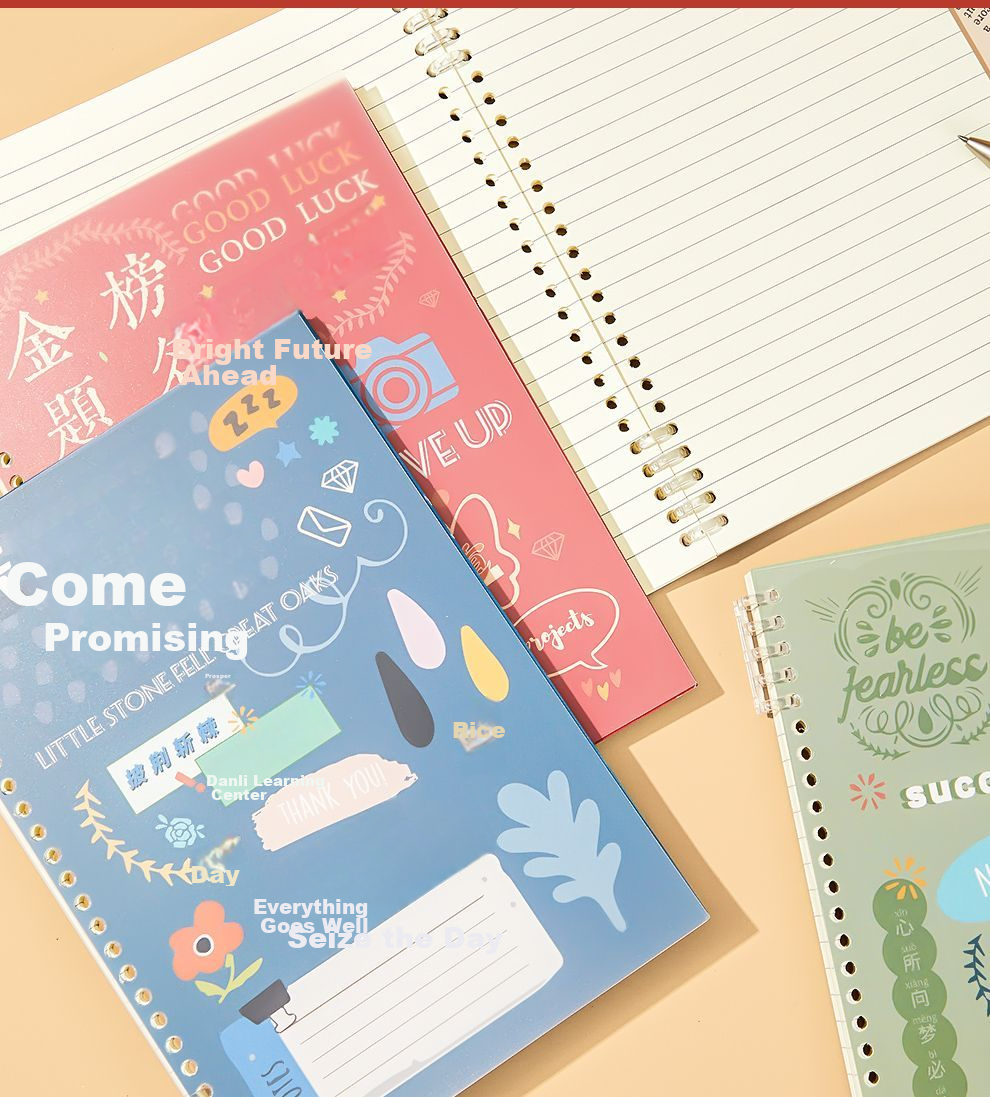 Faramon Comfortable B5 Loose-Leaf Notebook, Thick Journal for Middle And High School Students, Detachable Spiral Notebook for College Students, Aesthetically Pleasing Lined Exam Preparation Diary, Golden List of Success 11