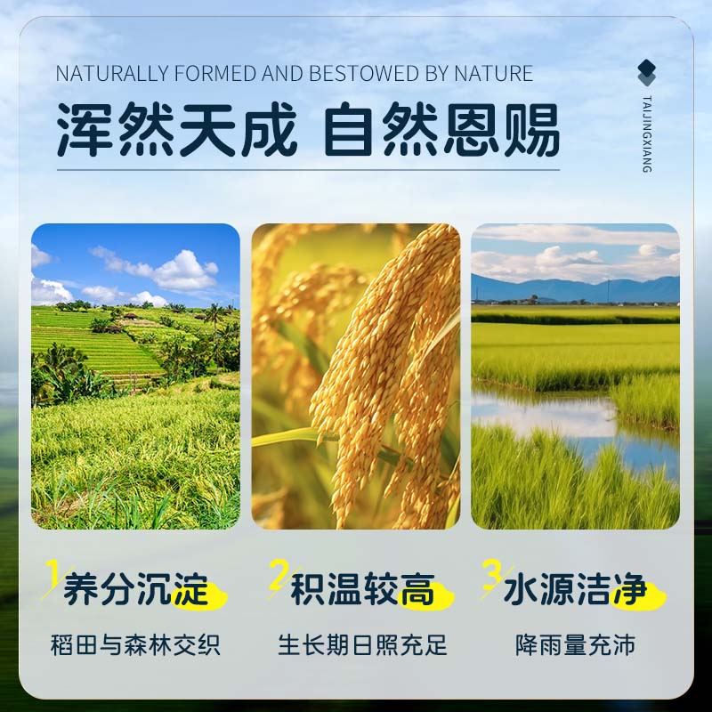 泰金香 甄泰香米 大米5Kg 茉莉香米 长粒米 香米 大米10斤