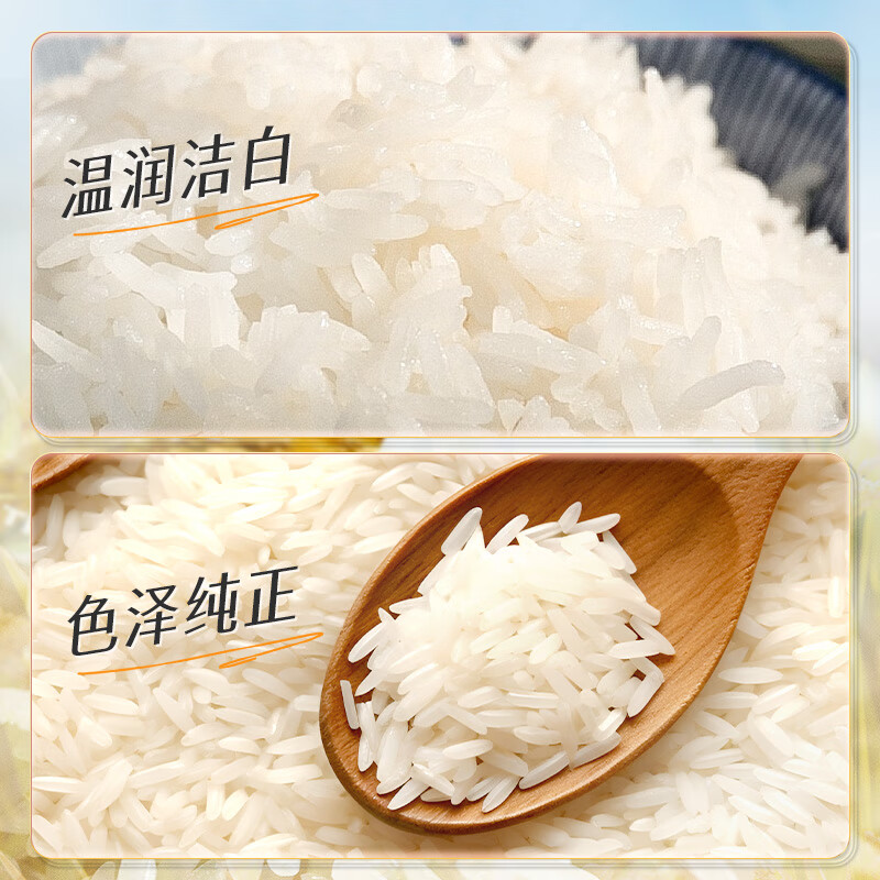 KO-KO(口口牌) 泰国香米 大米20斤 原装进口 长粒米 koko泰国香米