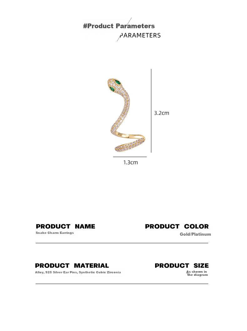Qlady Snake Ear Studs for Women, 2026 New Year Style, Elegant High-End Bone Studs, Unique Niche Earrings, Luxurious Ear Accessories for Wome 4