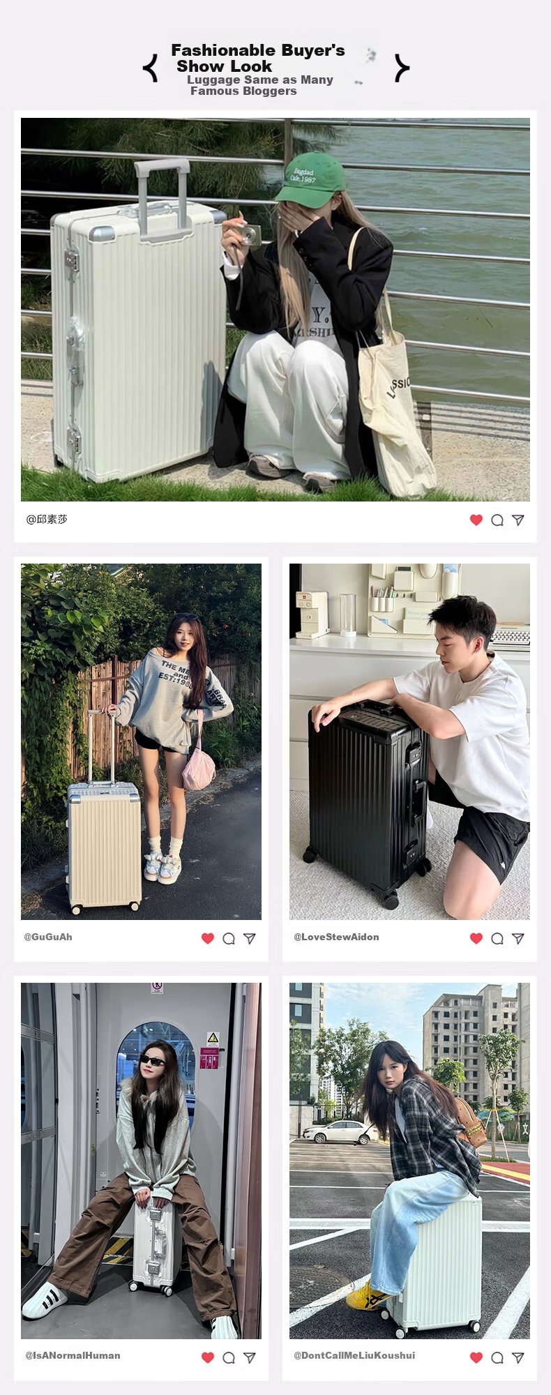 ROAMING Luggage Suitcase Large Capacity Stylish Travel Case for Men And Women with Password Lock And Leather Handle, 24-Inch Champagne Gu 2