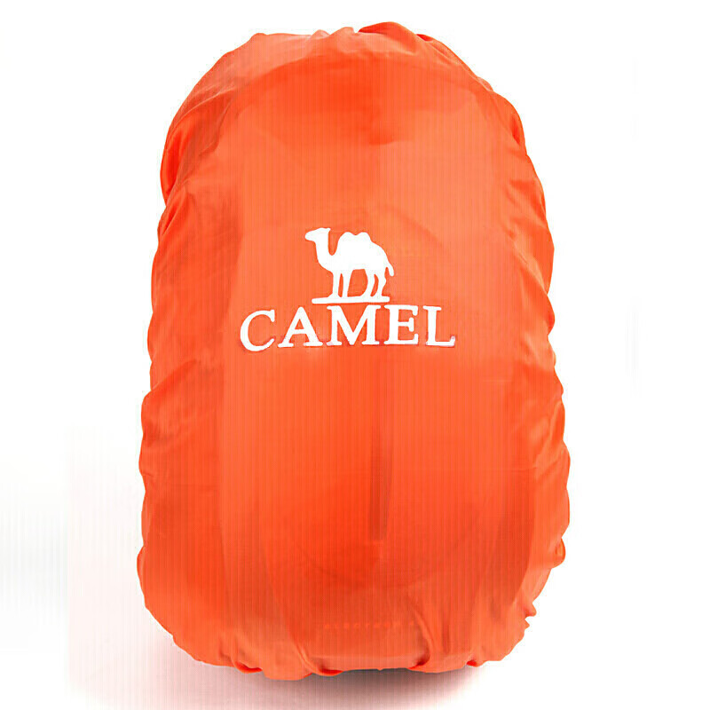 CAMEL (CAM-01270771