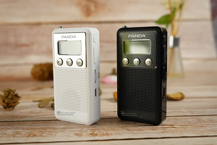 Panda 6124 Radio with Two Bands, Gift for Elderly, Pocket-Sized FM Tuner, Compact Broadcast Transistor Radio 5