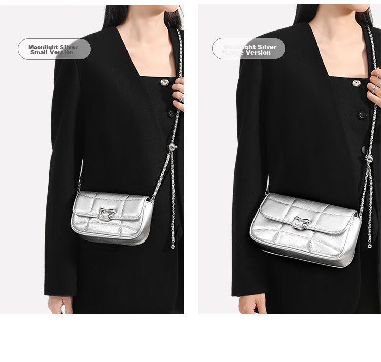 Mood New Versatile Chain Crossbody Bag, Light Luxury Niche High-End Exquisite Commuter Underarm Bag, Birthday Gift for Wome 28