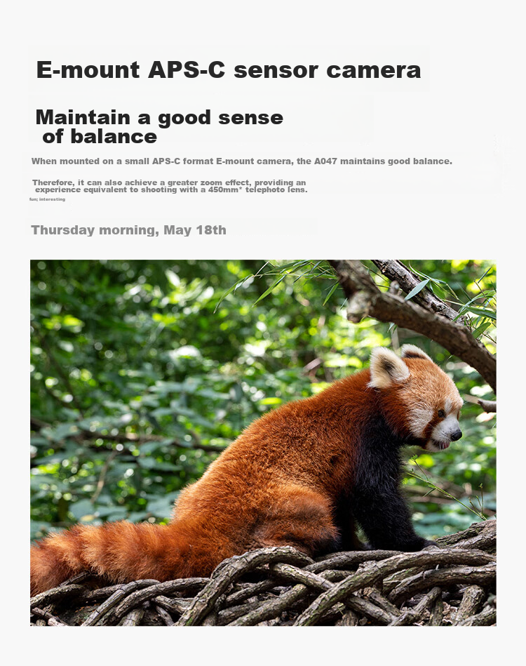 Tamron A047S 70-300mm F/4.5-6.3 Di III RXD Telephoto Zoom Lens, Sports And Wildlife, Sony Full-Frame Mirrorless Camera Lens (Sony Full-Frame E-Mount) 6