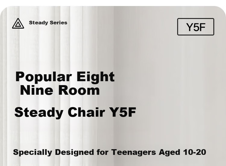 Bajiujian Y5F Study Chair for Teenagers, Middle And High School Students Aged 12-18, Writing Chair, Ergonomic Chair for Home Use 550F 10