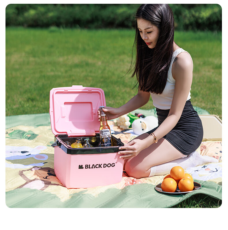 Black Dog Outdoor Cooler Box for Camping, Picnic, Cold Storage, Food Preservation, Takeout And Fishing, 25L Night Black 32