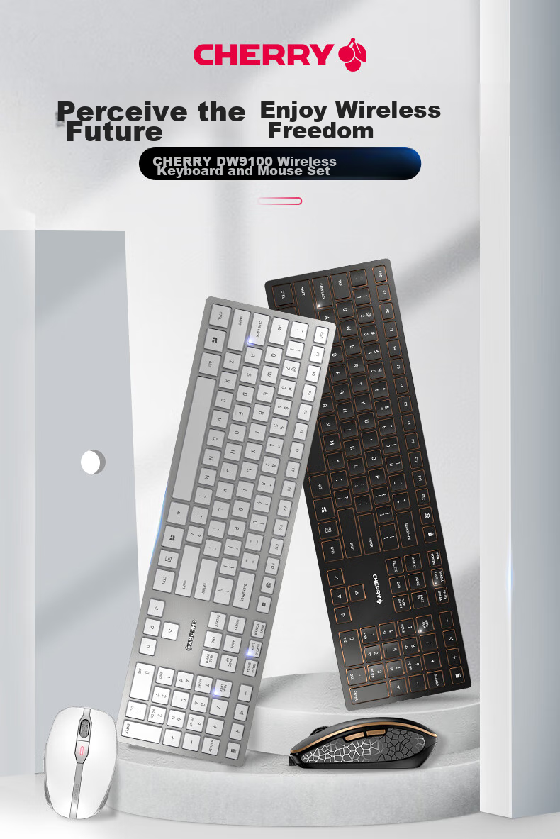 CHERRY DW9100 Wireless Keyboard And Mouse Combo, Bluetooth Dual-Mode Keyboard And Mouse, Computer Keyboard, Office And Business Use, SX Scissor Foot Ultra-Thin Keyboard, Rechargeable Black Model 2