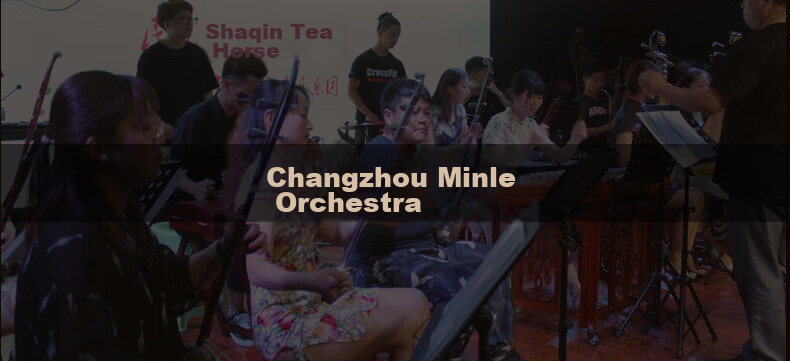 Huqiu Brand Custom Erhu Instrument HQ-5117 Rosewood Beginner's Children's Universal Suzhou Erhu Factory Direct Sale 2