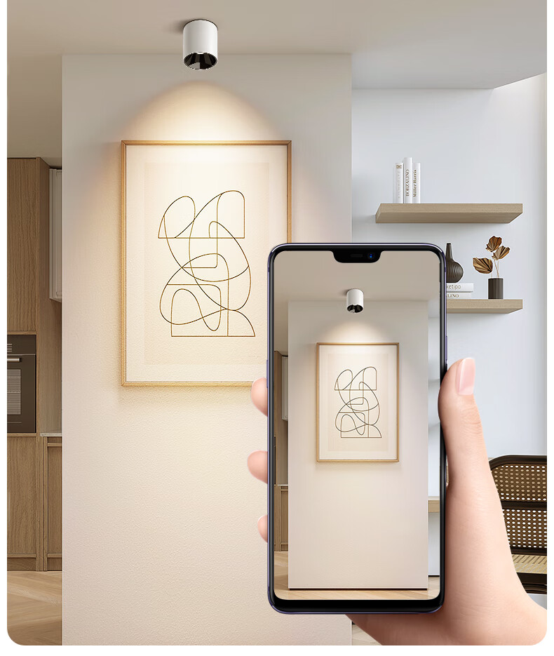 CDN LED Surface Mounted Spotlight Ceiling Light Simple Round Non-Main Light 9W 3500K for Living Room Corridor Passageway 2