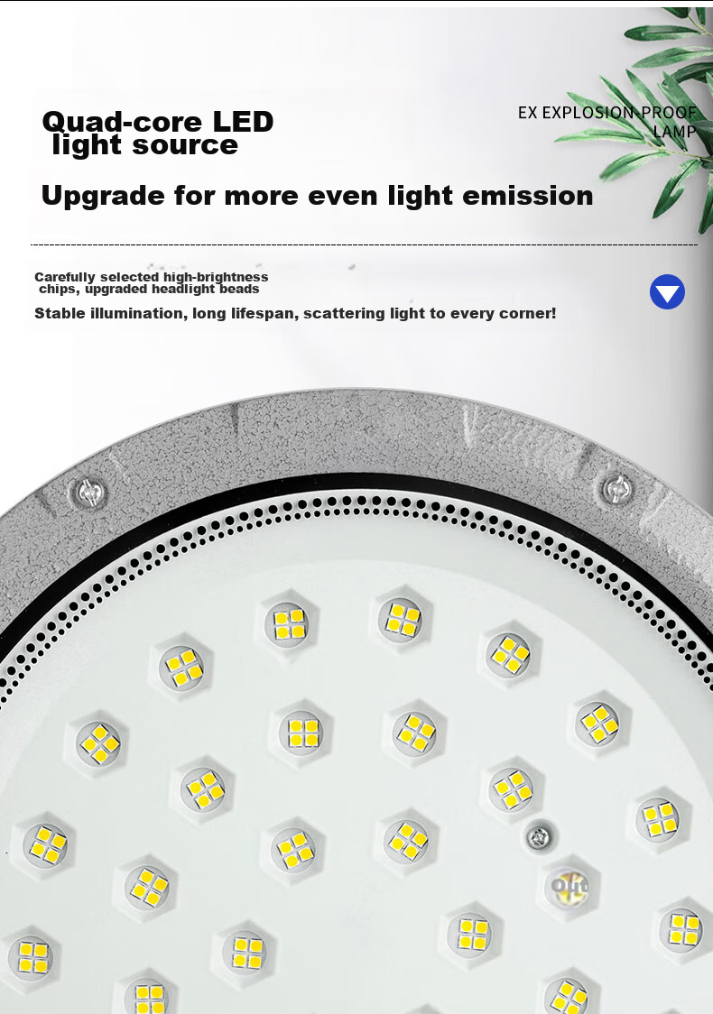 Xinya Explosion-Proof Light, LED Ceiling Light, IP65 Rated, Explosion-Proof Type for Factories And Warehouses, Gas Station Workshop Lighting, Explosion-Proof Floodlight, 50W 5