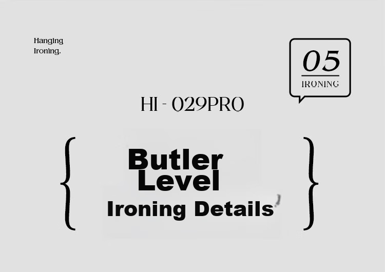 DAEWOO [Travel Portable] Handheld Garment Steamer, Home Ironing Machine, Steam Iron, Travel Portable Small Sterilizing Ironing Machine HI-029PRO Macaro 29