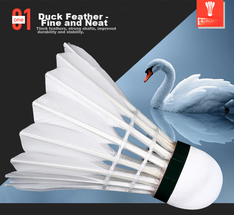 RSL Badminton Training And Competition Stable Durable Duck Feather Golden Crown C6 Size 76 Speed 12 Pieces Per Tube 2