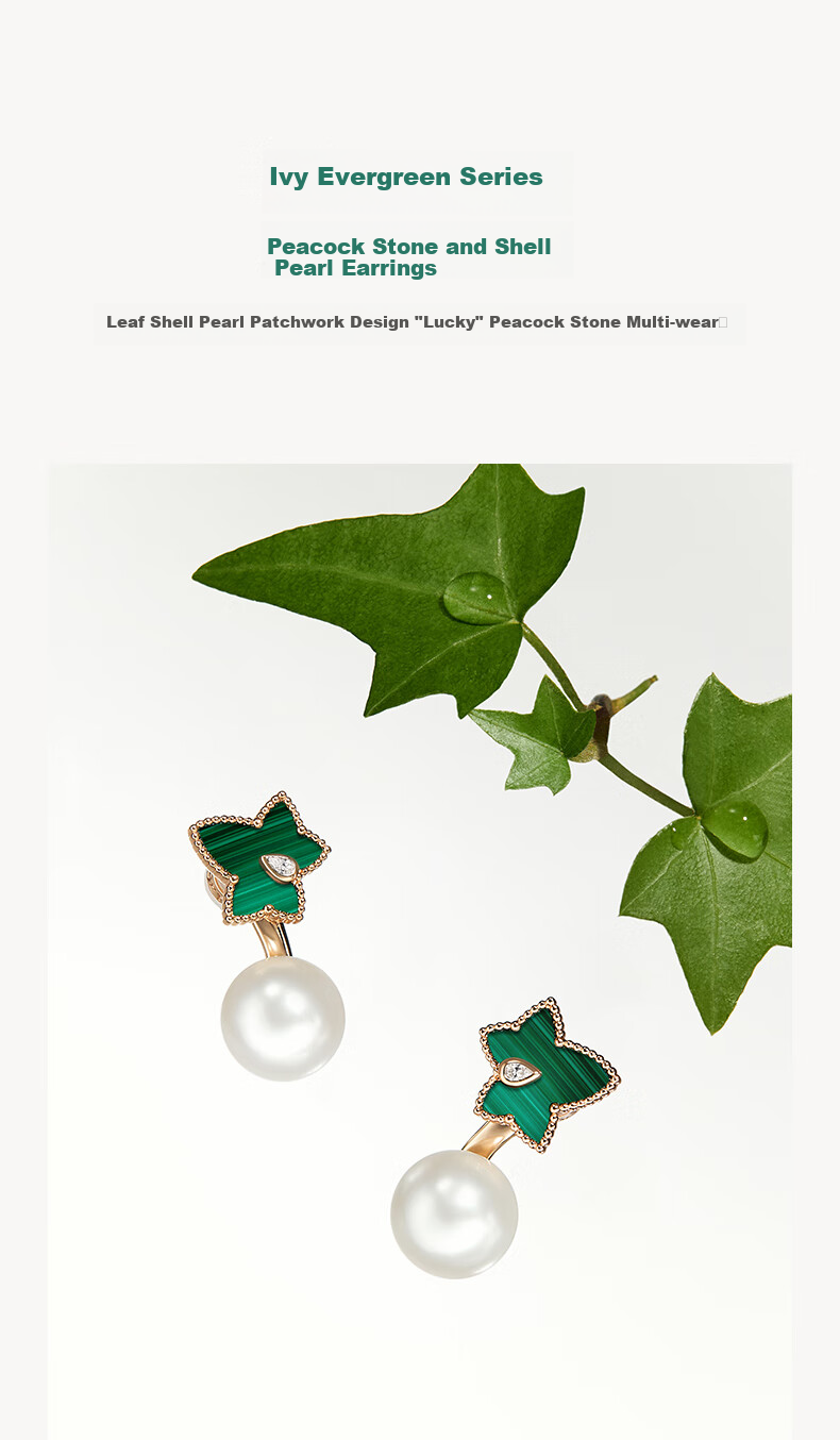 LOLA ROSE Evergreen Ivy Stud Earrings, Elegant Birthday Gift for Women And Girls 5