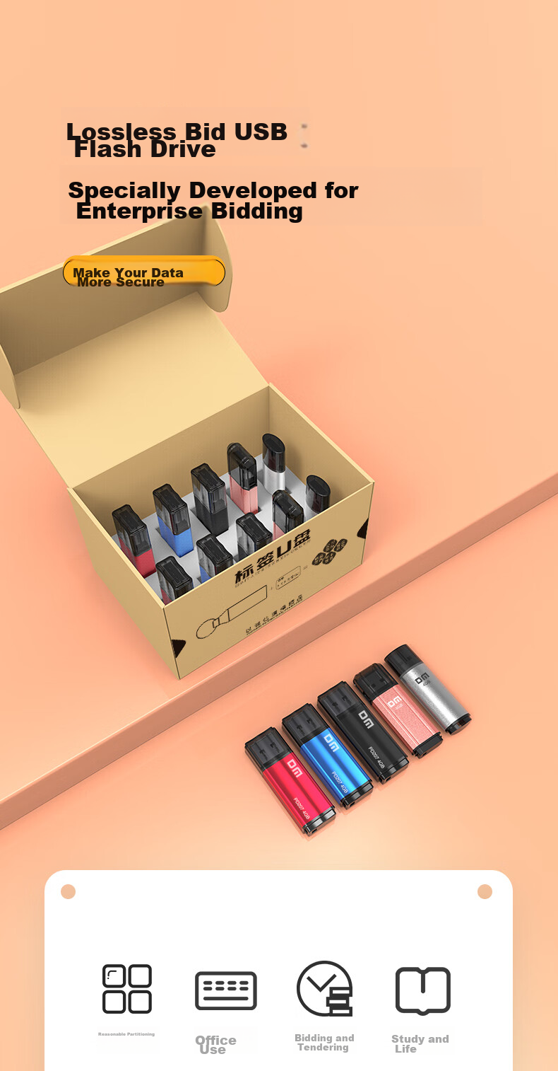 DM Daimai 4GB USB2.0 Flash Drive, Bidding USB Drive, PD208, Small Capacity Computer Label USB Drive for Bidding, 10 Pieces/box 1