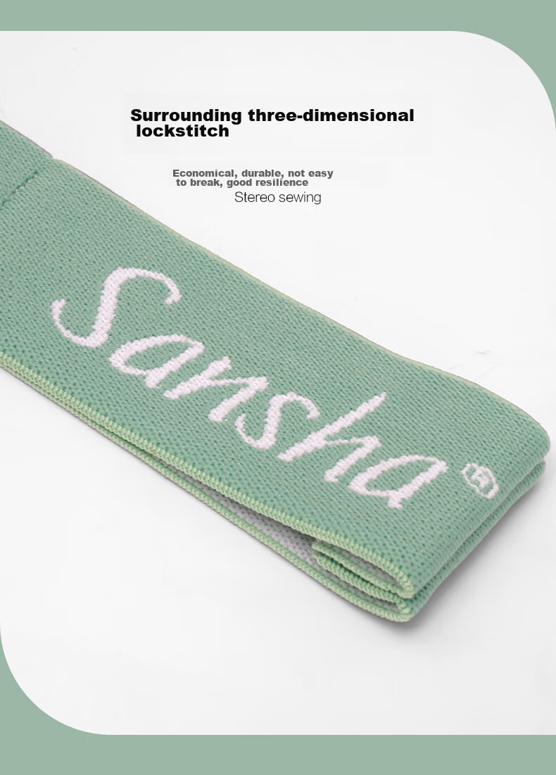 Sansha Children's Dance Elastic Band, Numbered Grid Resistance Band, Ballet Practice And Yoga Stretching Band for Adults, Purple, 11 Grids 4