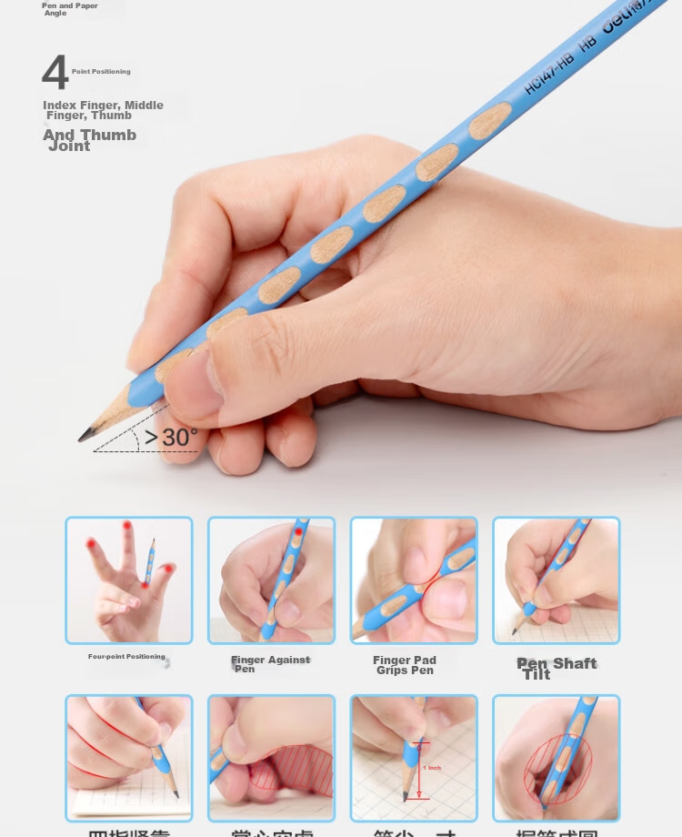Deli You Dong Dong Writing Pencil HB (30 Pieces/tube), Multi-Color with Eraser Tip, Easy Grip, Children's Posture-Correcting Pencil, Student Handwriting Practice Pen HC148-HB, Back-To Stationery 4