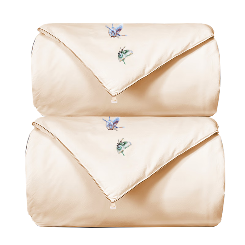 JD Original 100% Mulberry Silk Comforter, Winter Quilt Duvet Insert Silk Winter Comforter with Embroidery - Double-Layer Quilt 2x2.3m Approximately 8.6 Ji