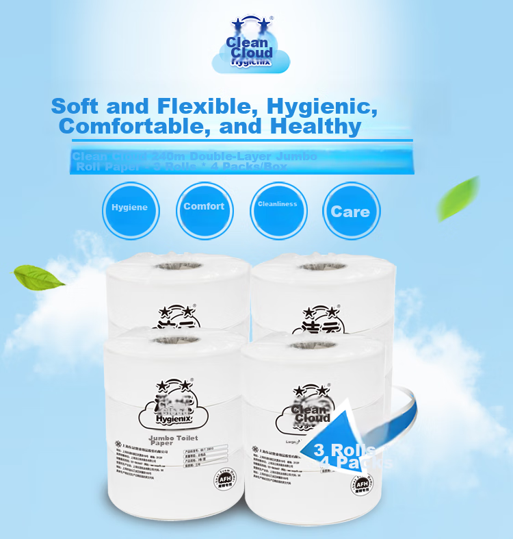 Hygienix Commercial Core Roll Toilet Paper, 2-Ply, 240 Meters * 12 Rolls, Whole Box of Toilet Paper for Shopping Malls, Hotels, And Office Use 2