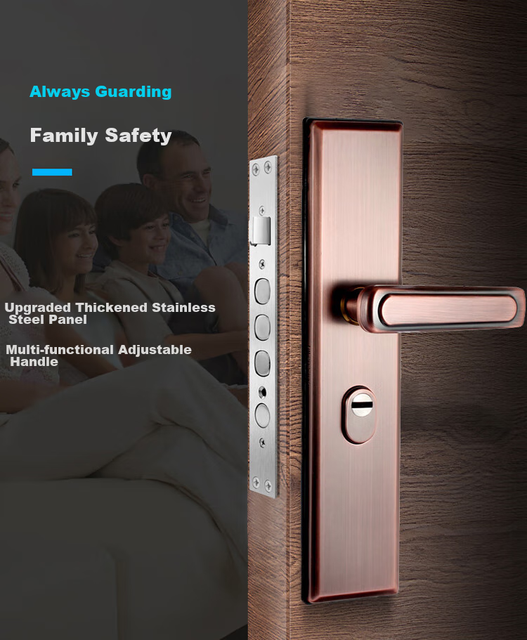 Aoben Door Handle, Anti-Theft Door Lock Entrance Door Handle 015 Red Antique 3.5mm Thickened Version (Without Lock Body Or Cylinder) 2