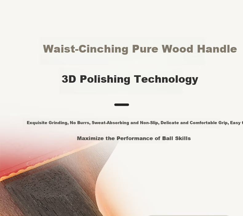 DHS Table Tennis Racket Wang Liqin Gift Box Professional Wang (Penhold Grip), Includes Racket Case, WANG-L 7