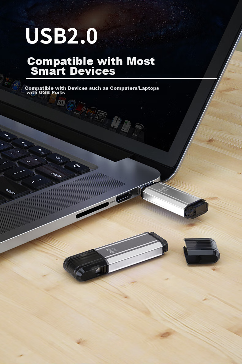 DM Daimai 4GB USB2.0 Flash Drive PD206, Silver, Small USB Drive for Bidding, Enterprise Competition Computer And Car USB Drive 5