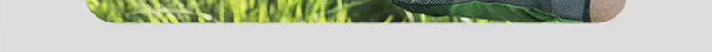 DELIXI ELECTRIC Electric Spray Watering Can Succulent Mist Sprayer Household Small Sprayer for Pesticide and Disinfection 12