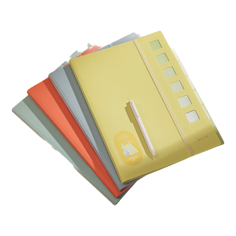 Deli A4 PP Skin-Friendly Document Folder with Sleeves for Prenatal Check-Ups, Report Storage, Certificate Collection, And Sheet Music Organizer - Random Color PQ608