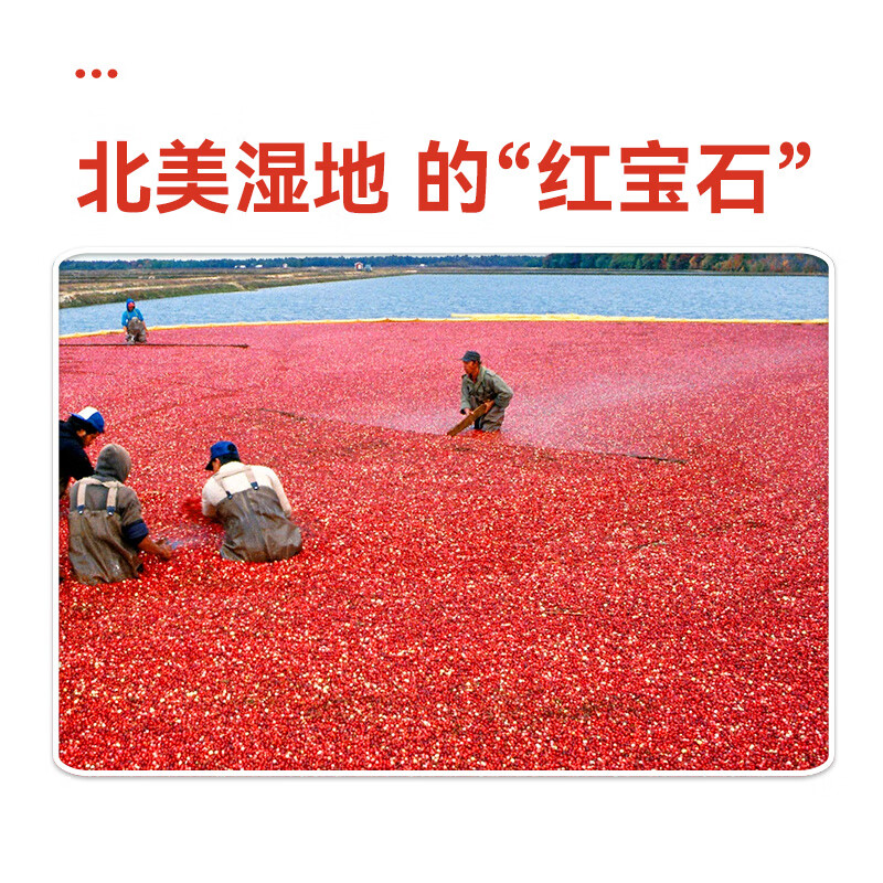 沃隆蔓越莓干140g罐装蜜饯水果干果脯烘焙材料办公室休闲零食