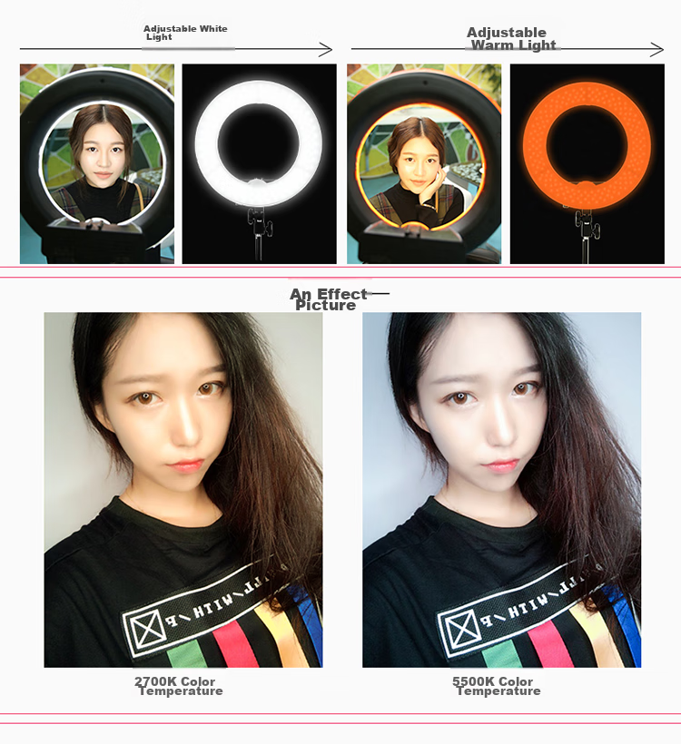 Hakutatz 55cm Live Streaming Fill Light, Beauty Enhancing, Skin Softening, Face Slimming LED Ring Light, TikTok Influencer Photography Lighting Equipment, Floor-Standing, Professional Photography Use 6