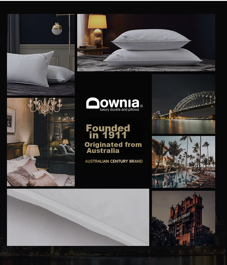 Downia Pillow, Five-Star Hotel Down Pillow, Side Sleeping Cervical Pillow, 95% White Duck down Composite Pillow, 74*48CM 10