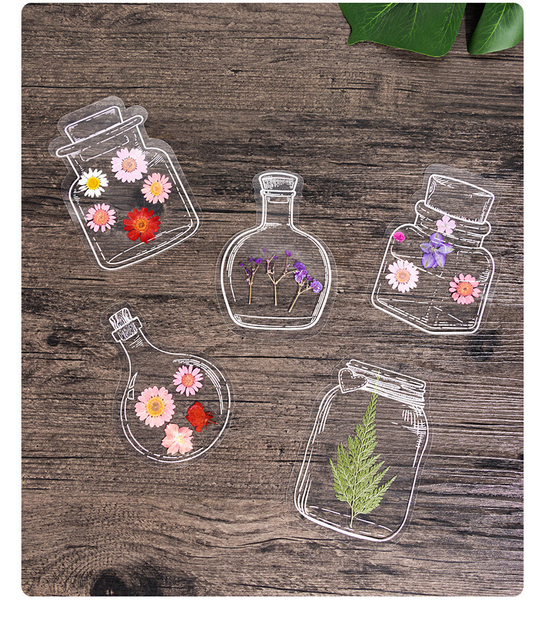 Tianse Transparent Dried Flower Bookmarks Handmade DIY Material Kit Leaf Specimen Laminated Plant Pressed Petals Back to School Set 20 Sheets TS-6132 12