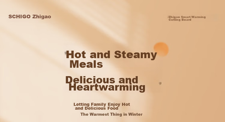 CHIGO Food Warming Plate, Hot Food Plate, Heating Plate, 2025 New Model Heating Table Mat, Rectangular Household Multifunctional Dining Table Hot Food Device, QF02H 2