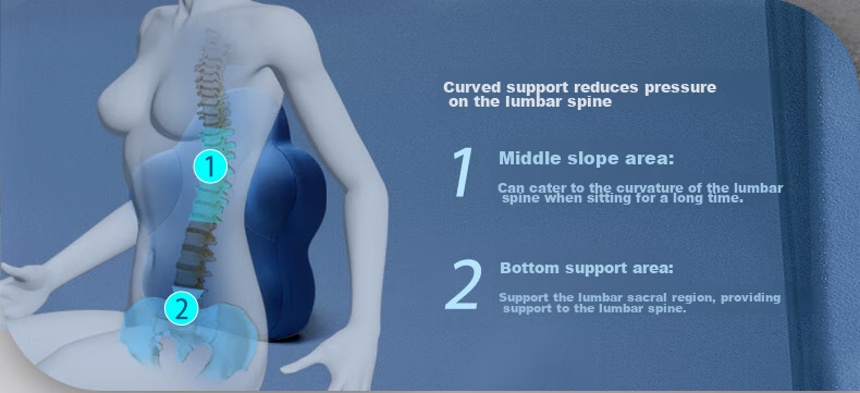 Back2 Lumbar Support Cushion for Office, Ergonomic Back Pillow, Long-Sitting Aid, Car Seat Cushion, Waist Pillow 24