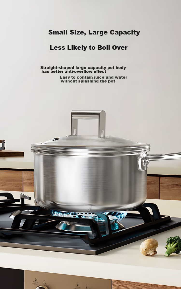 JD Original Pure Titanium Small Milk Pot, Baby Food Cooking And Noodle Boiling Non-Stick Soup Pot for Induction Cooker And Gas Stove, with Free Steamer Insert, 20cm 1